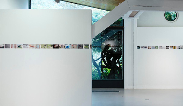 Ariane Epars, Fondation Louis Moret